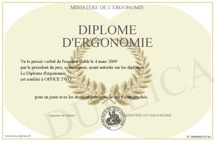 diplome universitaire ergonomie